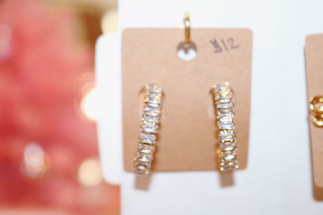 Sparkle and Shine Earrings